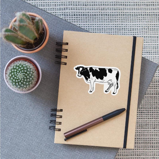 Black-and-white cow