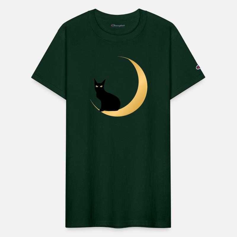 Black cat crescent moon dark night