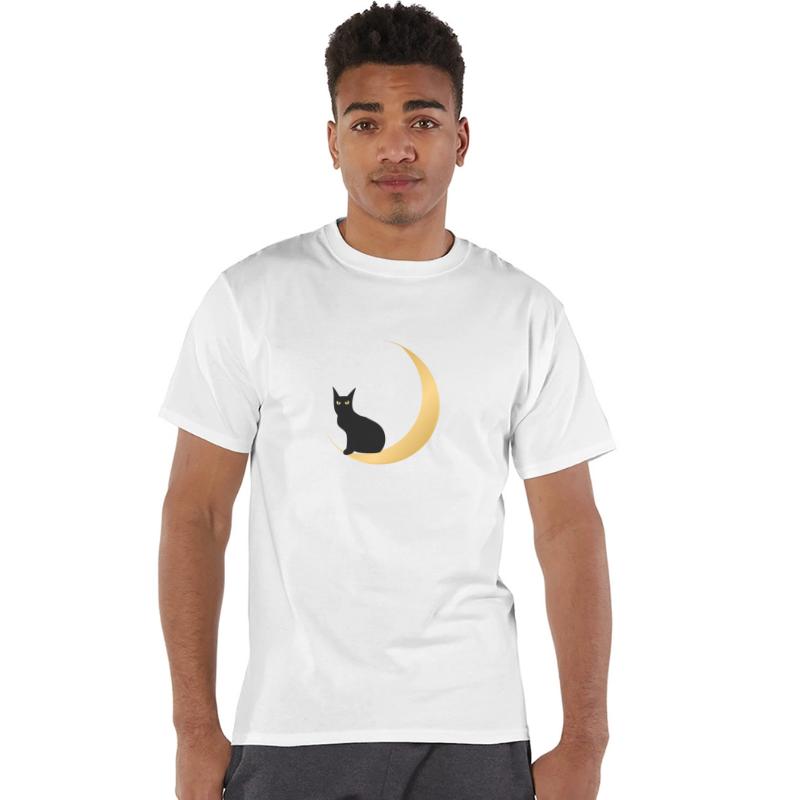 Black cat crescent moon dark night