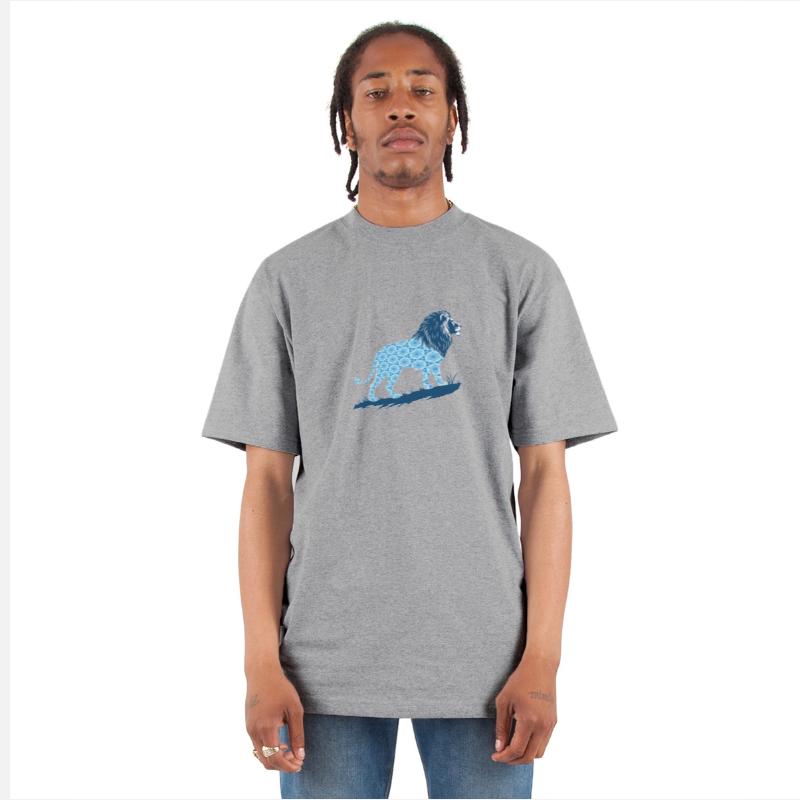 Star of David Pattern 2 Lion of Judah