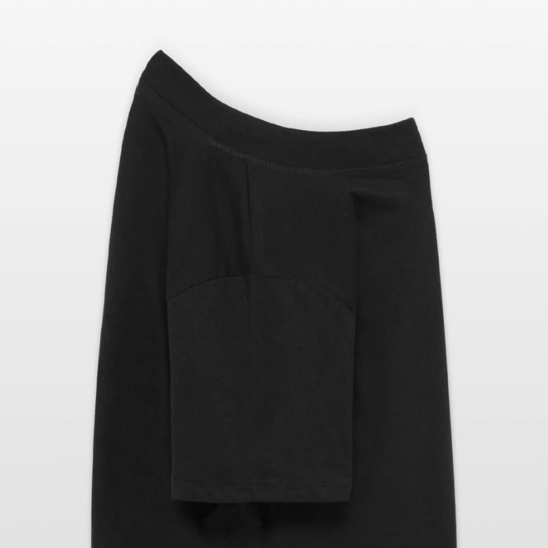 White Alps Edelweiss Flower Mountain Hiking Flower