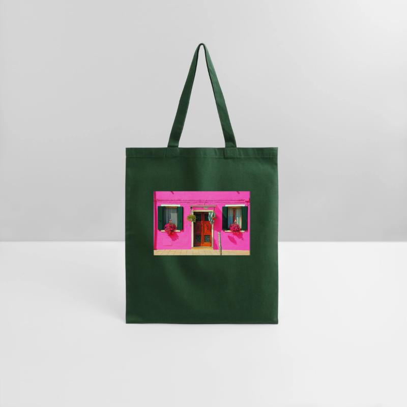 Windows of Venice Italy 1898