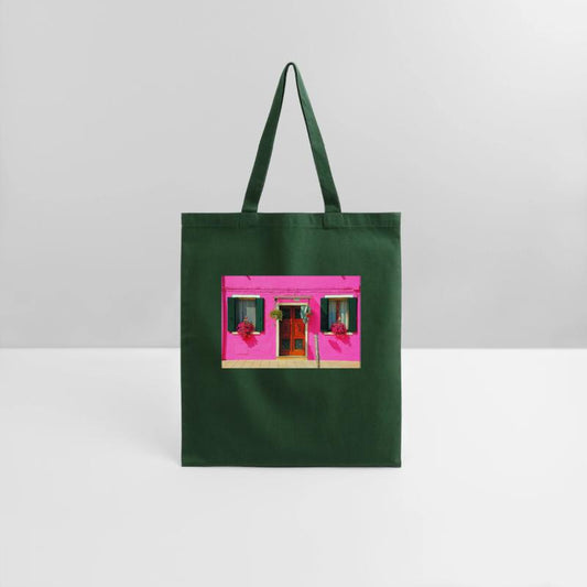 Windows of Venice Italy 1898