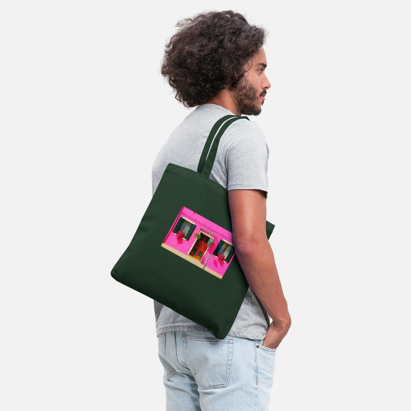 Windows of Venice Italy 1898