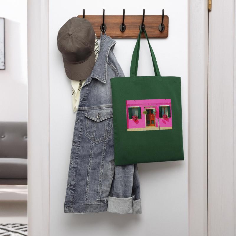 Windows of Venice Italy 1898