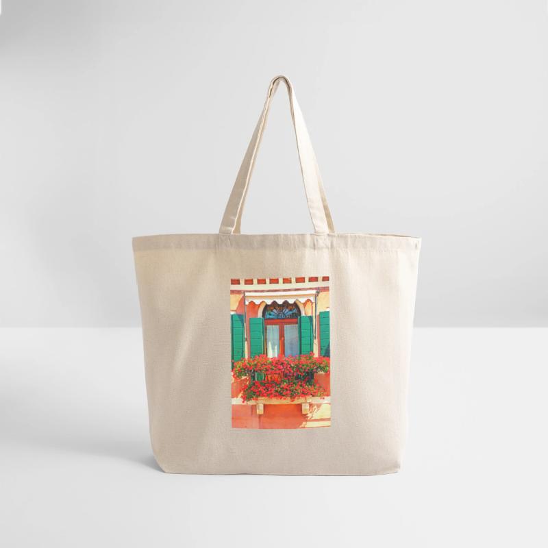 Windows of Venice Italy 1908